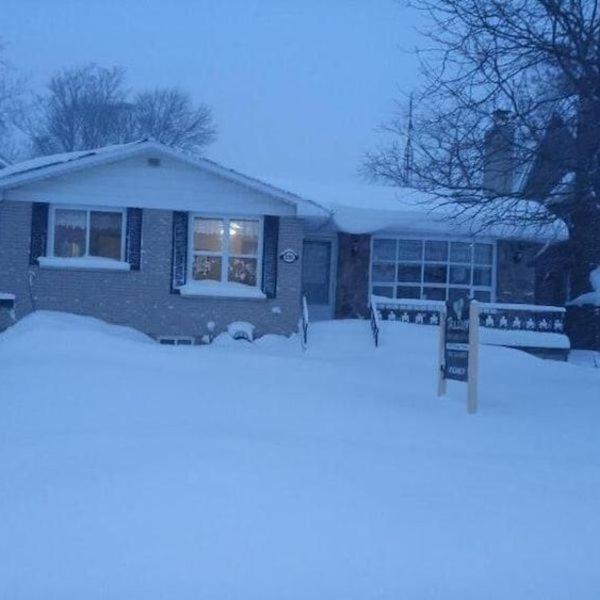 Trillium Bed & Breakfast Niagara Falls Exterior foto
